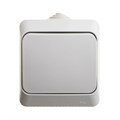 Выключатель 1кл о/у серый IP44 Этюд Systeme Electric (1/14) BA10-041C - фото 5992